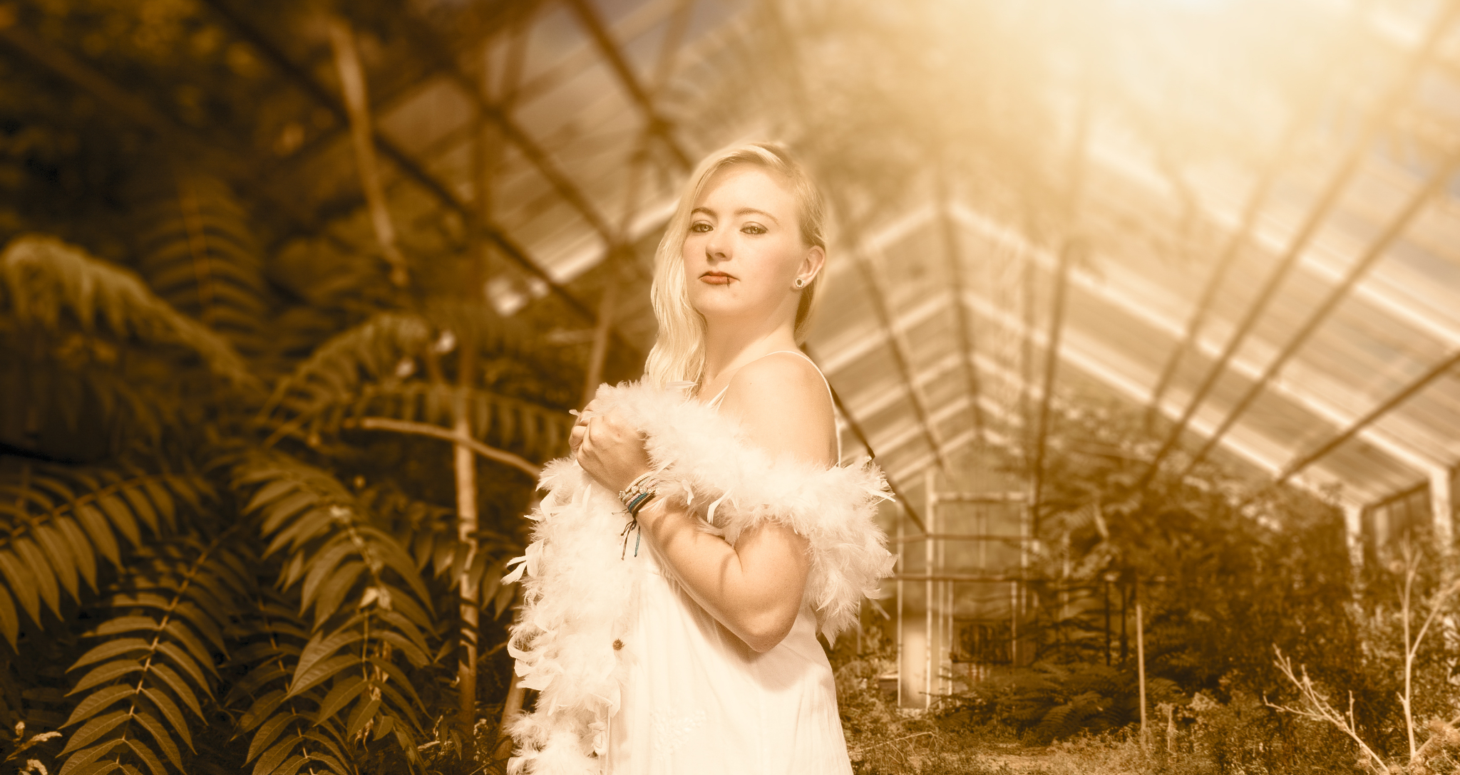 50544135367 7bd71699c7 o