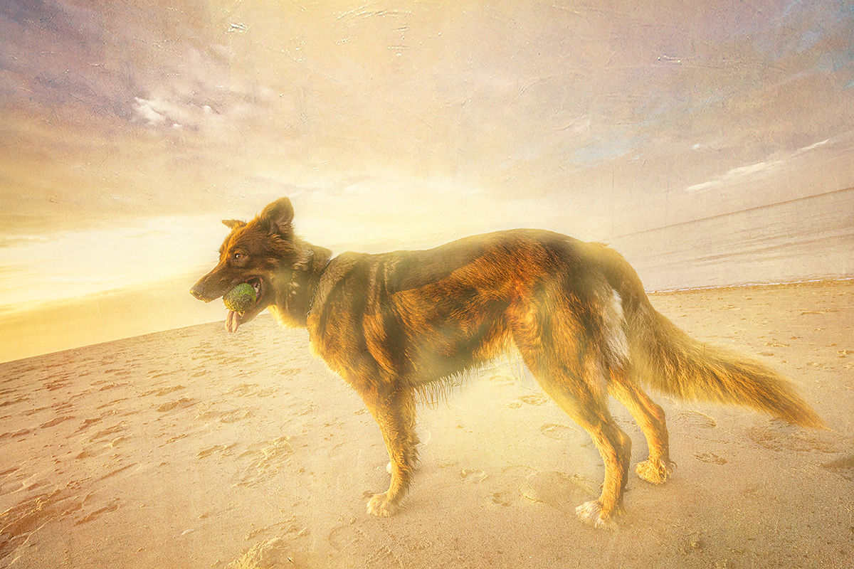 IMG 2098 Bearbeitet portfolio